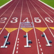 澳客网页版-德甲新赛季前瞻，拜仁卫冕之路荆棘密布，勒沃库森能否延续黑马传奇？