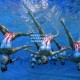 澳客_国乒包揽WTT大满贯五冠 马龙樊振东巅峰对决创收视新高
